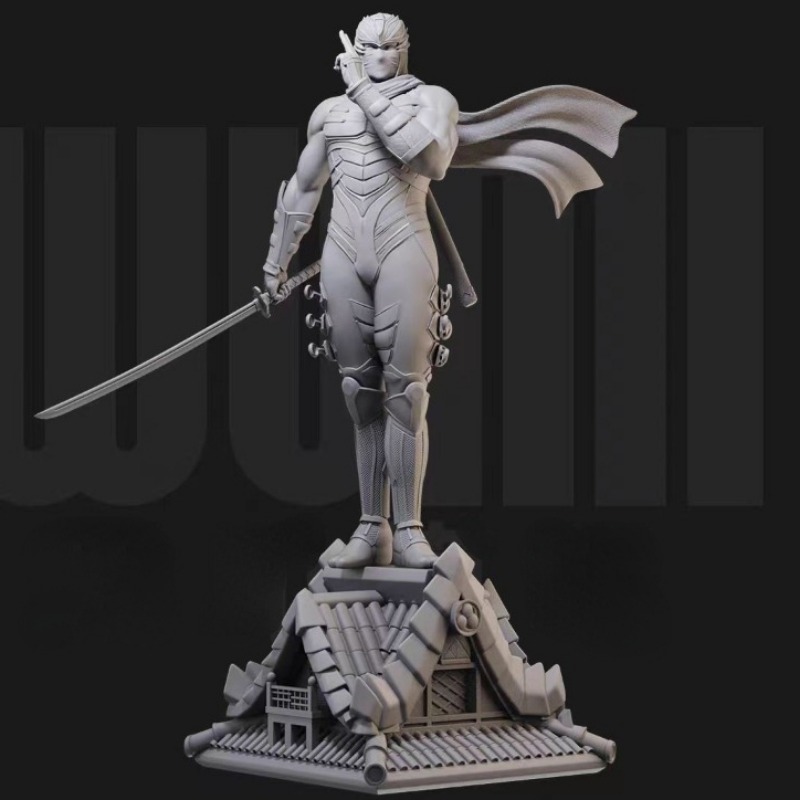 1/24  Miniature Black Robe Nin - огляд і ціна Model Kit Baki