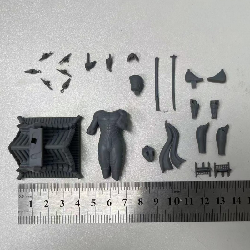 1/24  Miniature Black Robe Nin - огляд і ціна Model Kit Baki
