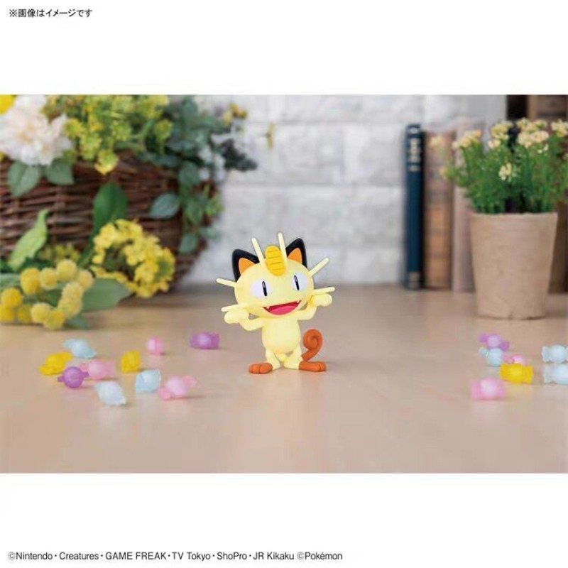 Genuine Bandai Pokemon Plamo Q - огляд і ціна Model Kit Quick Piplup