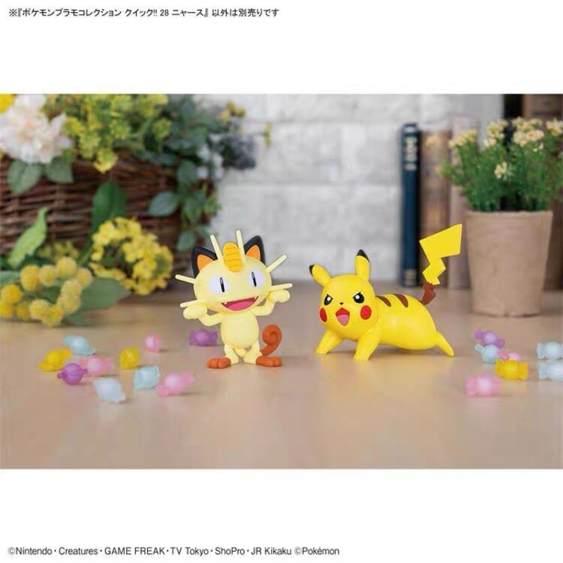Genuine Bandai Pokemon Plamo Q - огляд і ціна Model Kit Quick Piplup