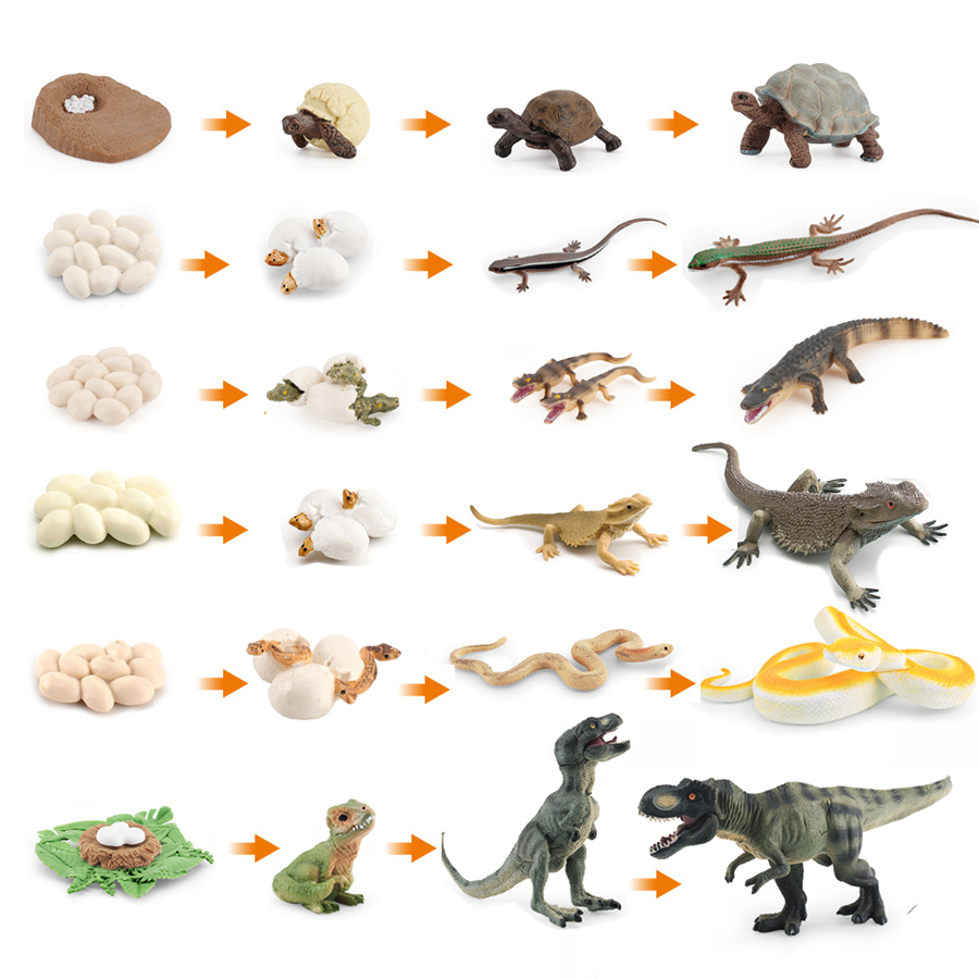 Simulation Dinosaur Lizard Tur - огляд і ціна Model Kit Lizard