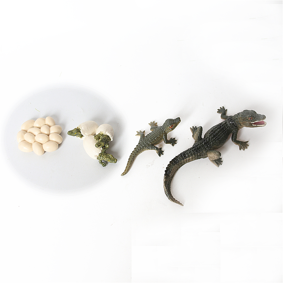 Simulation Dinosaur Lizard Tur - огляд і ціна Model Kit Lizard