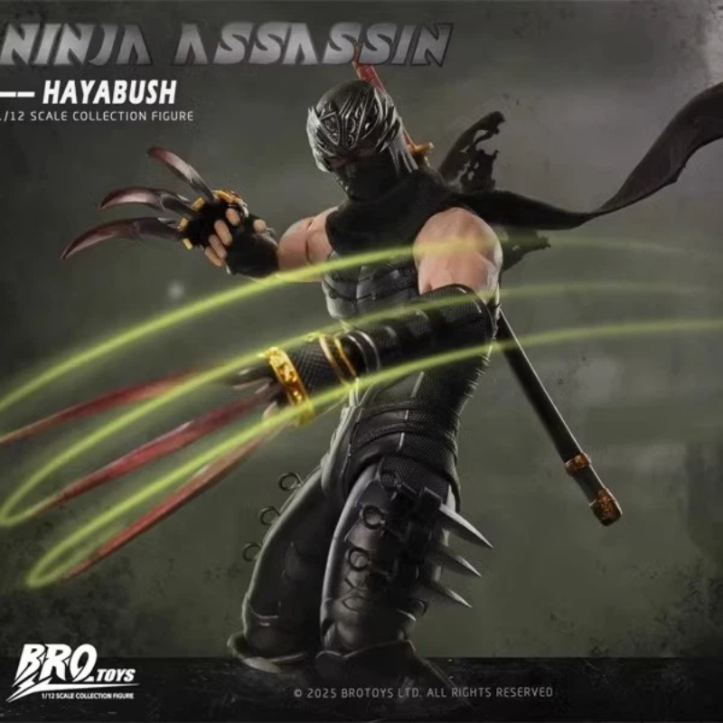 Brotoys Ninja Assassin Ryu Hay - огляд і ціна Model Kit Zero Megaman