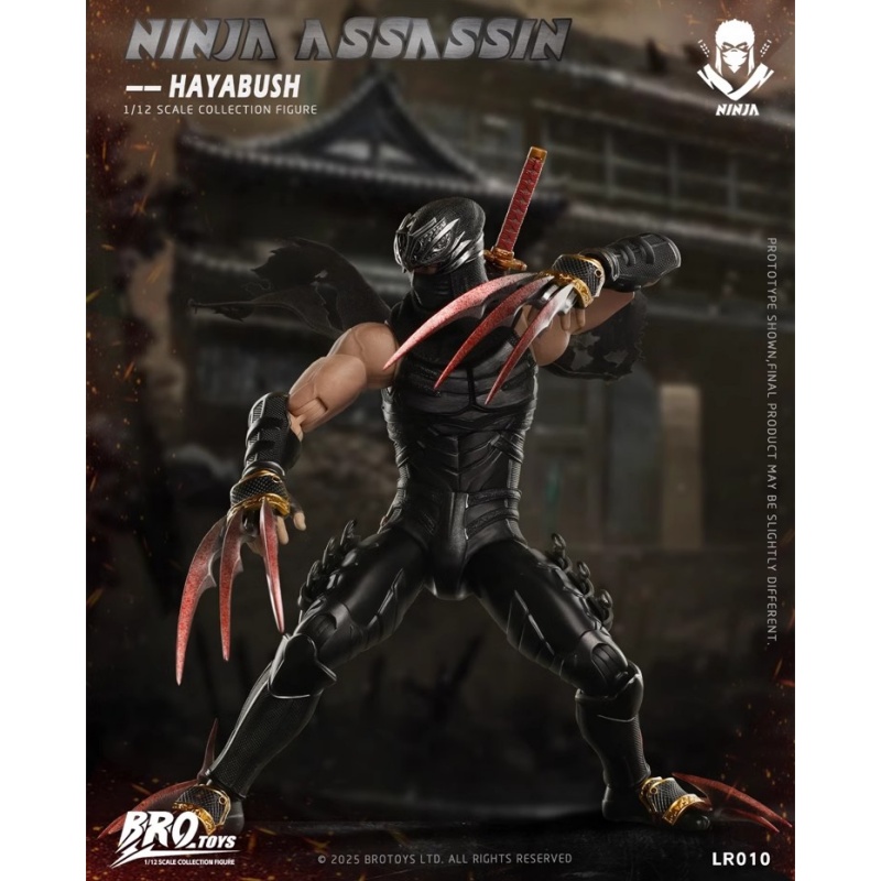 Brotoys Ninja Assassin Ryu Hay - огляд і ціна Model Kit Zero Megaman