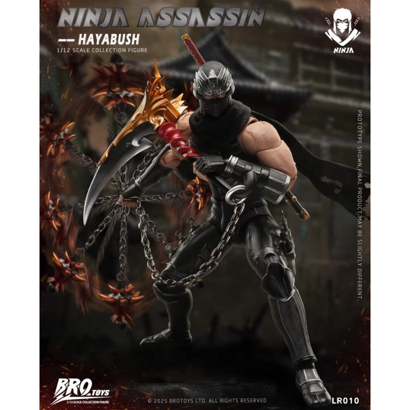 Brotoys Ninja Assassin Ryu Hay - огляд і ціна Model Kit Zero Megaman