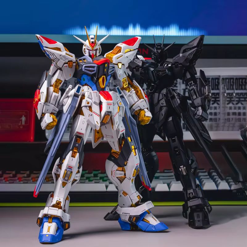 CHANGLONG Model 7701 MGEX ZGMF - огляд і ціна Model Kit Baki
