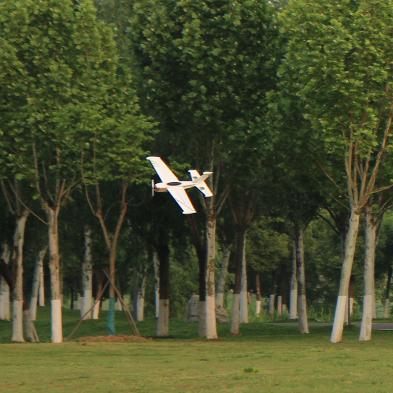 Skywalker Speed G Rc Fixed Fly - огляд і ціна Model Kit Competition